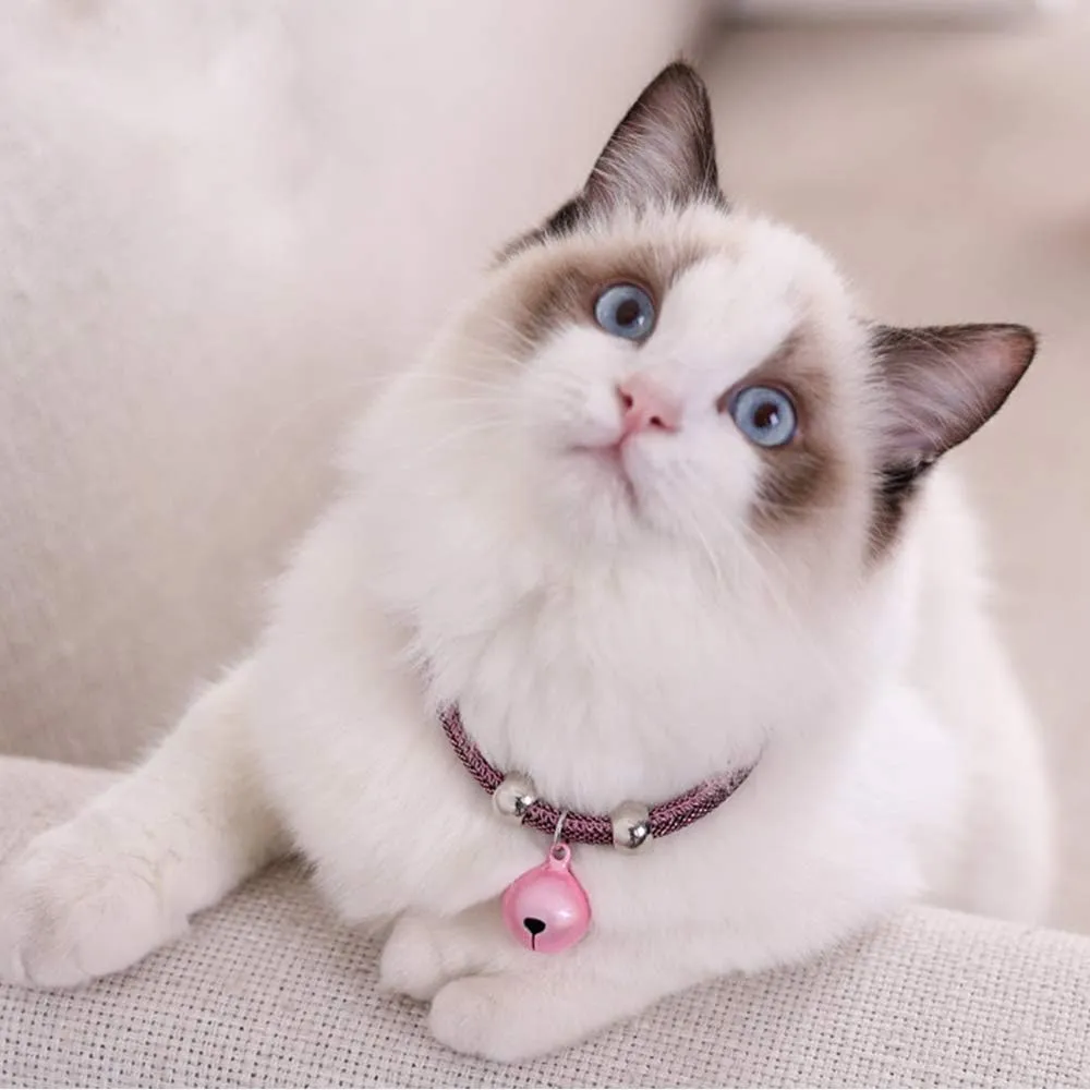 4 Sets Cat Bell for Dog Collar Charm Training Pet Pendant Accessories with 2 Pack Stainless Steel Dog Tag Clips(2 Medium Pink)