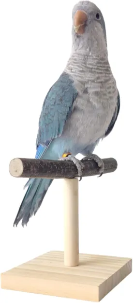 Bird Perch Stand, Bird Training Portable Tabletop Platform, Parrot Bird Cage Toy Gym Accessories for Parakeets Cockatiels, Conures, Macaws, Finches Lovebirds
