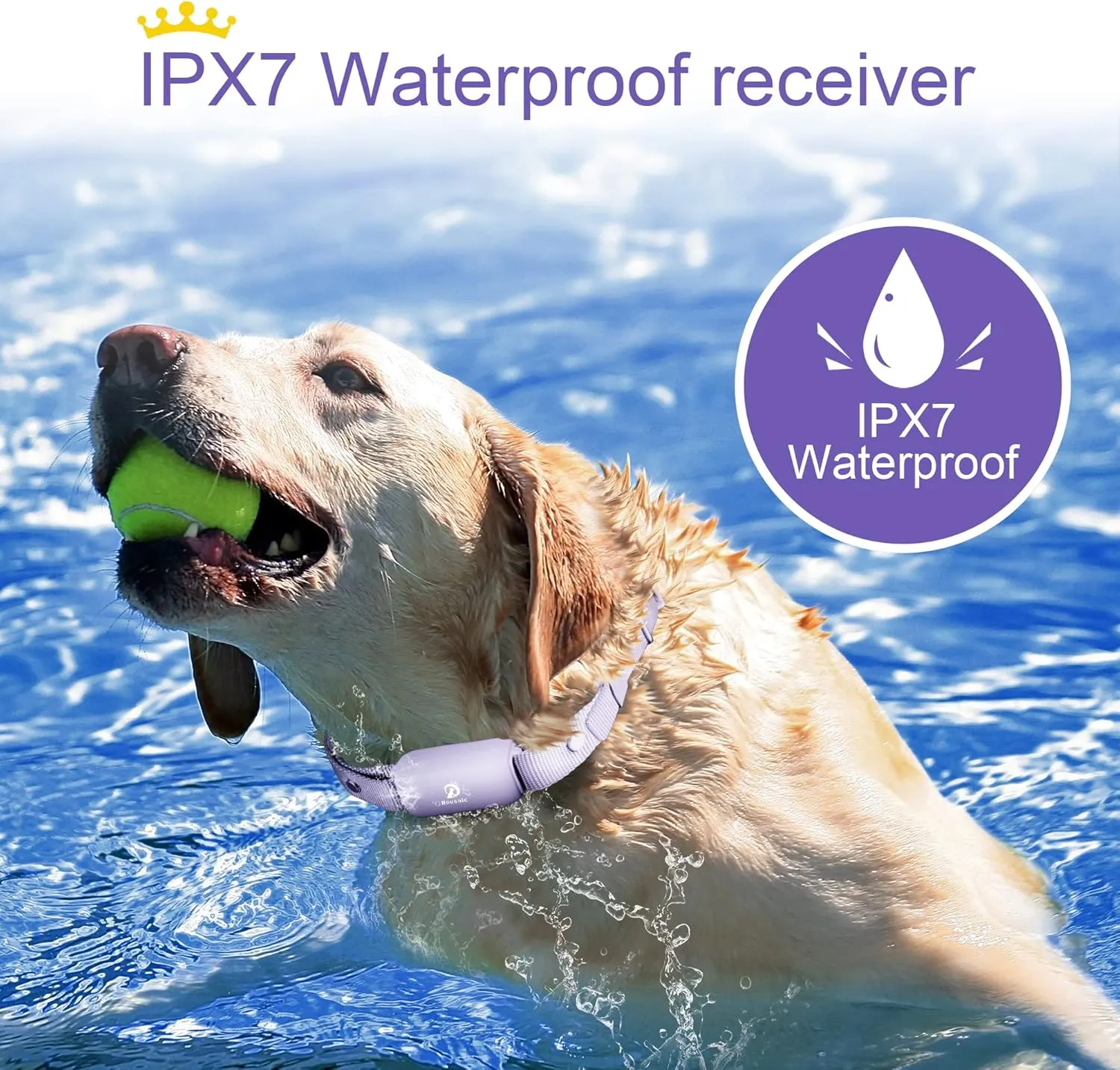 Bousnic Dog Shock Collar for 2 Dogs - (8-120lbs) Waterproof Rechargeable Electric Dog Training Collar with Remote for Small Medium Large Dogs with Beep Vibration Safe Shock Modes(Purple)