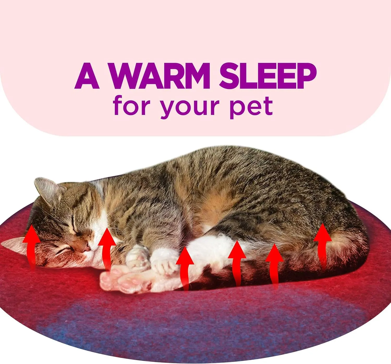 Cat Bed Mat Natural Merino Wool Cozy Large Carpet Pad for Pet Cats Kitty Small Dog House Warm Organic Sheep Wool Scratch Floor Mats Rug Bedding (Aqua Red, Large)