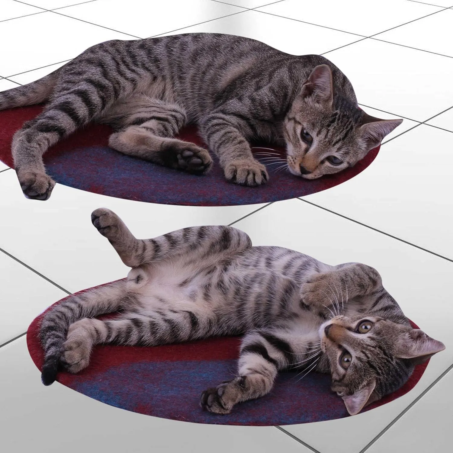 Cat Bed Mat Natural Merino Wool Cozy Large Carpet Pad for Pet Cats Kitty Small Dog House Warm Organic Sheep Wool Scratch Floor Mats Rug Bedding (Aqua Red, Large)