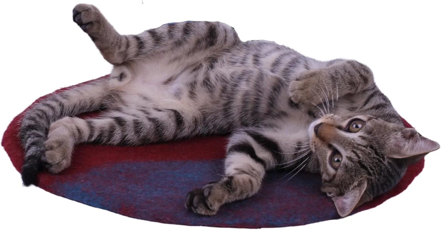 Cat Bed Mat Natural Merino Wool Cozy Large Carpet Pad for Pet Cats Kitty Small Dog House Warm Organic Sheep Wool Scratch Floor Mats Rug Bedding (Aqua Red, Large)