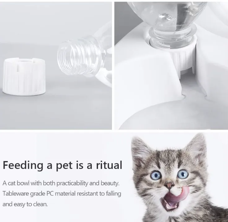 Cat Bowls Food and Water with Automatic Waterer Bottle