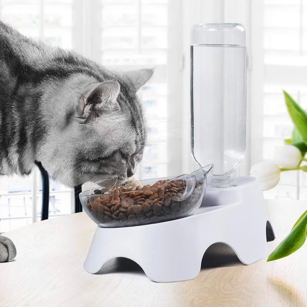 Cat Bowls Food and Water with Automatic Waterer Bottle