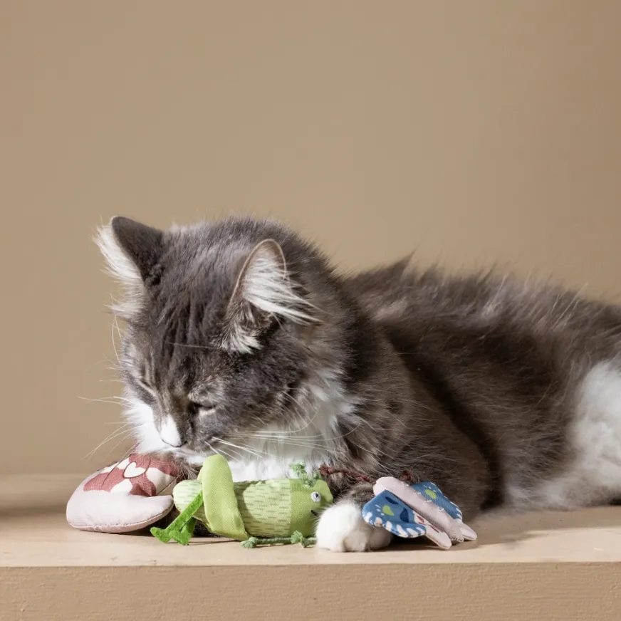 Catch Me If You Can Catnip Toy Set