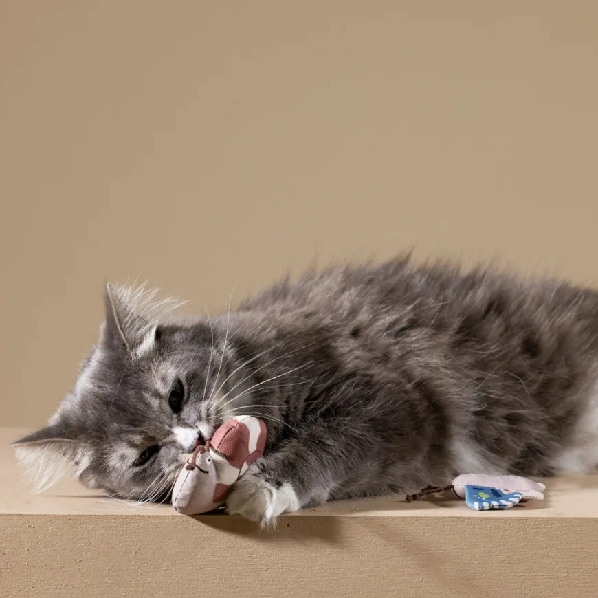Catch Me If You Can Catnip Toy Set