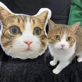 Custom Cat Face Personalized Pet Large Photo Pillow, Dog Pillow, Cat Pillow,Home Decor | Double-sided Print, Valentine's Day Gift, Hospital Gift Cat Lovers Gift