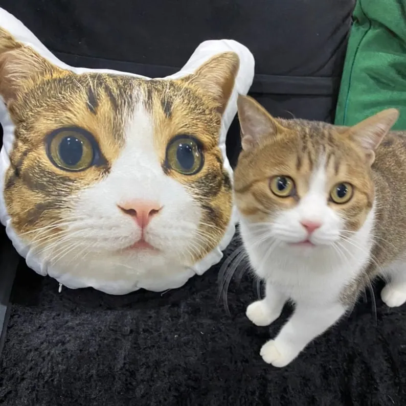 Custom Cat Face Personalized Pet Large Photo Pillow, Dog Pillow, Cat Pillow,Home Decor | Double-sided Print, Valentine's Day Gift, Hospital Gift Cat Lovers Gift