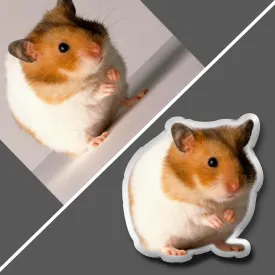 Custom Hamster Pet Pillow | Hamster Lover Gift