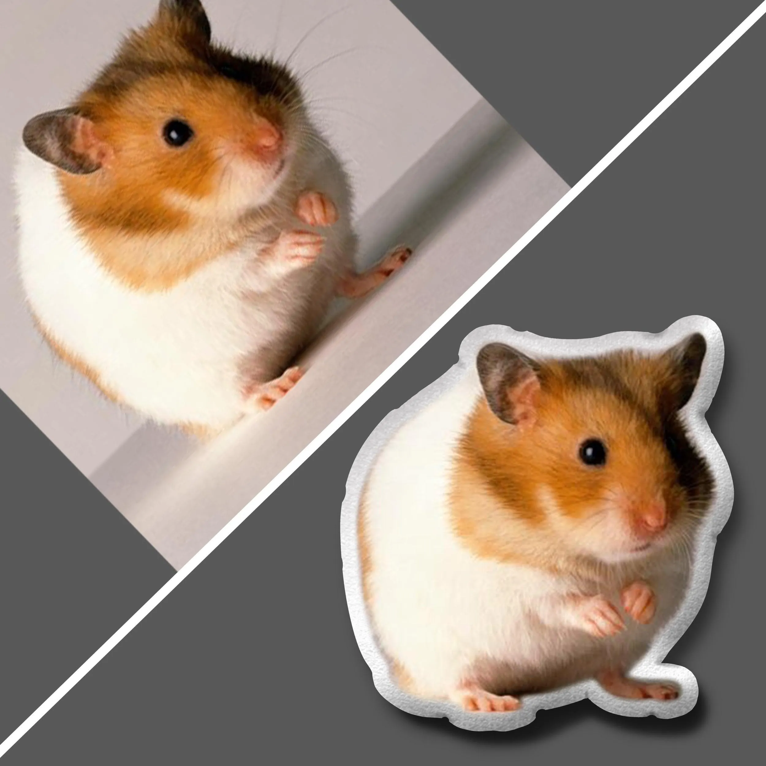 Custom Hamster Pet Pillow | Hamster Lover Gift