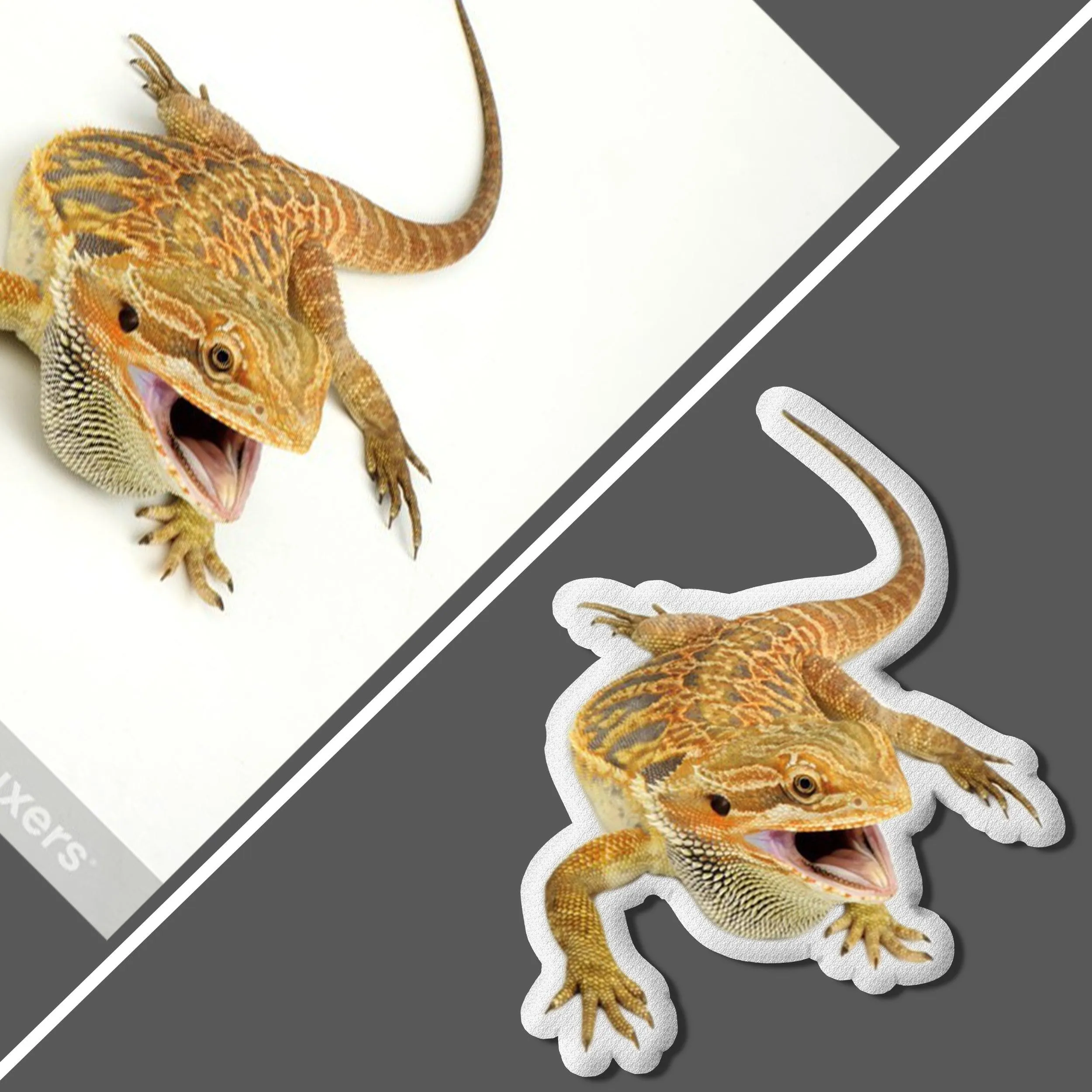 Custom Lizard Pet Pillow | Bearded Dragon Pillow Gift