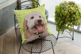 Custom Pet Couch Pillow With Cover