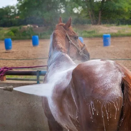 DermAllay Oatmeal Spray Conditioner 236mls - Equine