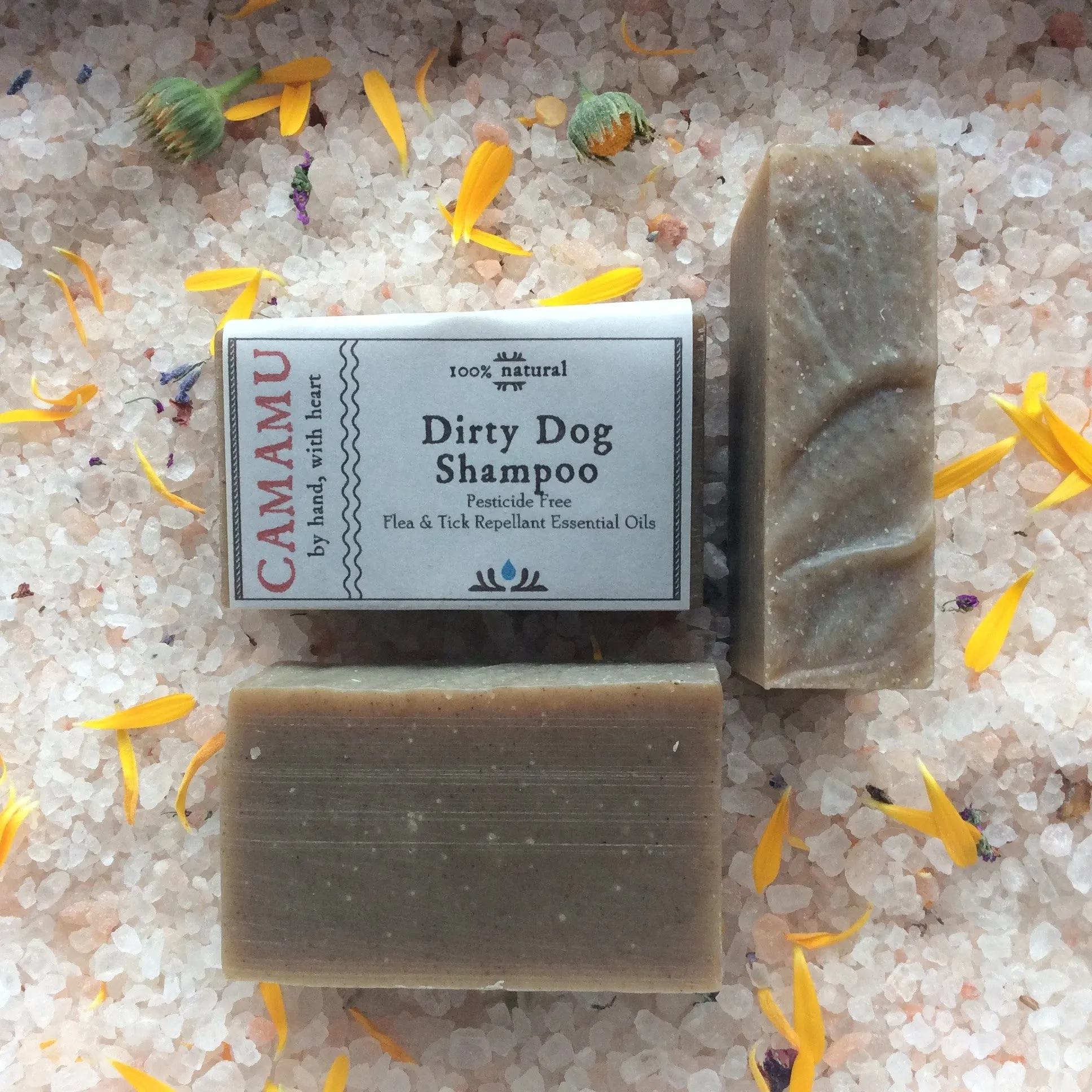 Dirty Dog Pet Shampoo