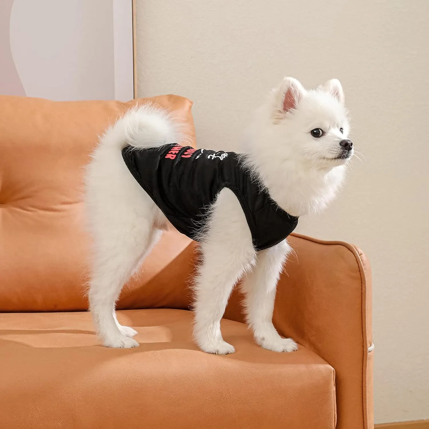 Dog Shirts Pet Printed Clothes with Funny Letters Summer Pet T Shirts Cool Puppy Shirts Breathable Dog Outfit Soft Dog Sweatshirt for Pet Dogs Cats (Large, Pattern-3)
