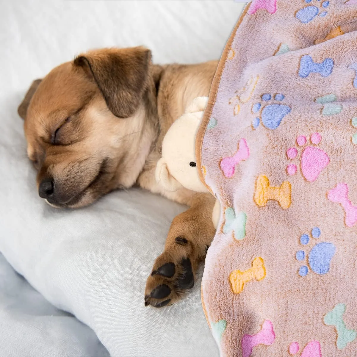 Dono 1 Pack 3 Dog Blankets, Soft Fluffy Fleece Pet Blanket Warm Sleep Mat Paw Print Design Puppy Kitten Throw Blankets Doggy Blanket for Dogs