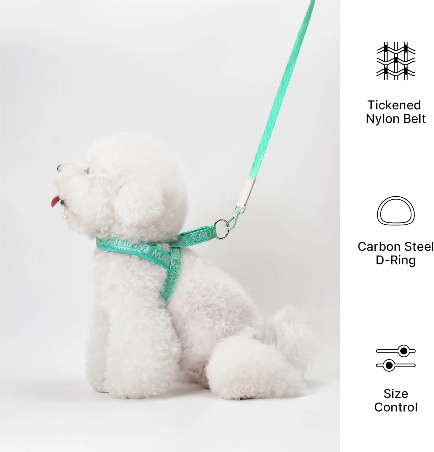 Escape-Proof Dog Harness with No-Choke Comfortable Lycra Fabric Vest and Quick-Release Buckle Easy Control Handle for Puppy Dogs, Easy for Training Walking (Minty Green, XS)