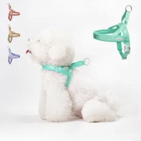 Escape-Proof Dog Harness with No-Choke Comfortable Lycra Fabric Vest and Quick-Release Buckle Easy Control Handle for Puppy Dogs, Easy for Training Walking (Minty Green, XS)