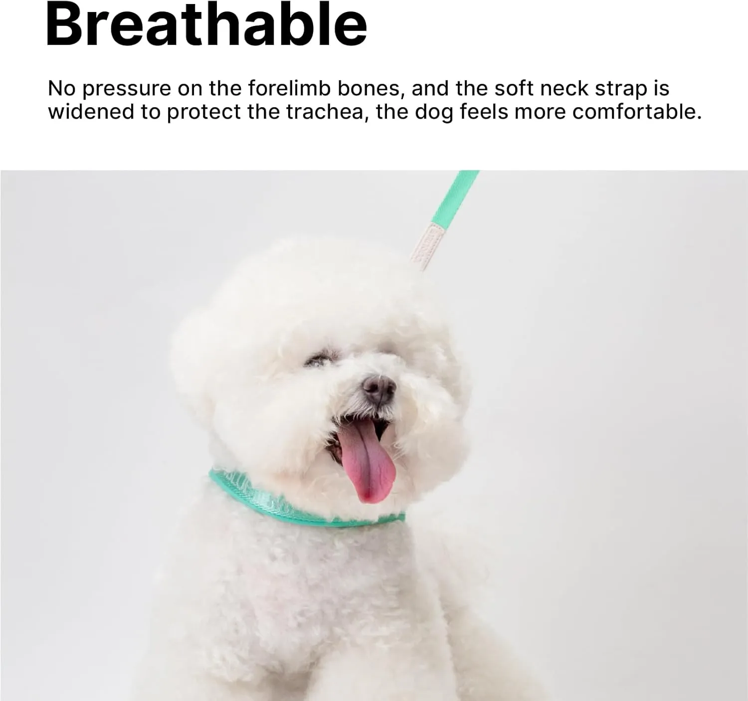 Escape-Proof Dog Harness with No-Choke Comfortable Lycra Fabric Vest and Quick-Release Buckle Easy Control Handle for Puppy Dogs, Easy for Training Walking (Minty Green, XS)