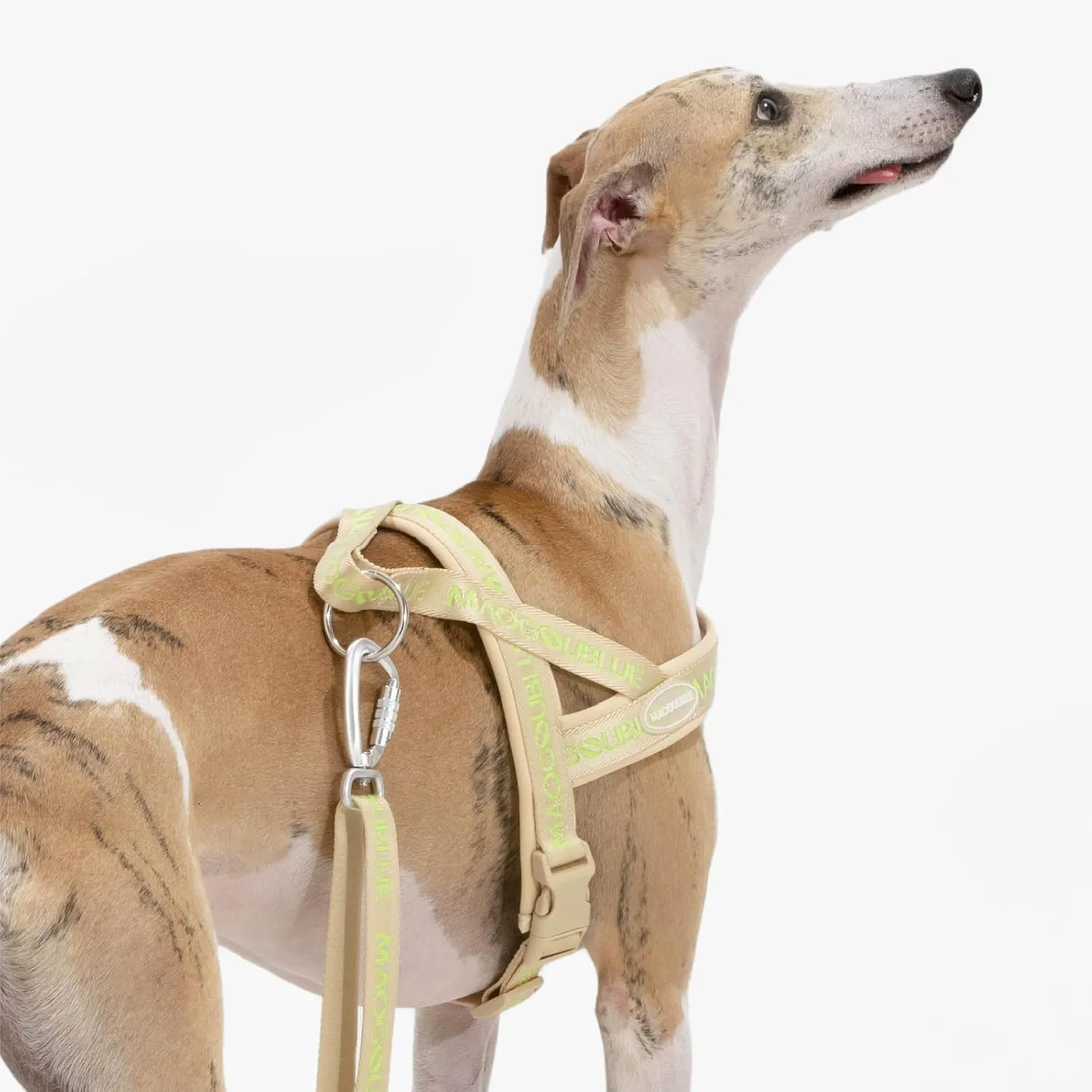 Escape-Proof Dog Harness with No-Choke Comfortable Lycra Fabric Vest and Quick-Release Buckle Easy Control Handle for Puppy Dogs, Easy for Training Walking (Minty Green, XS)