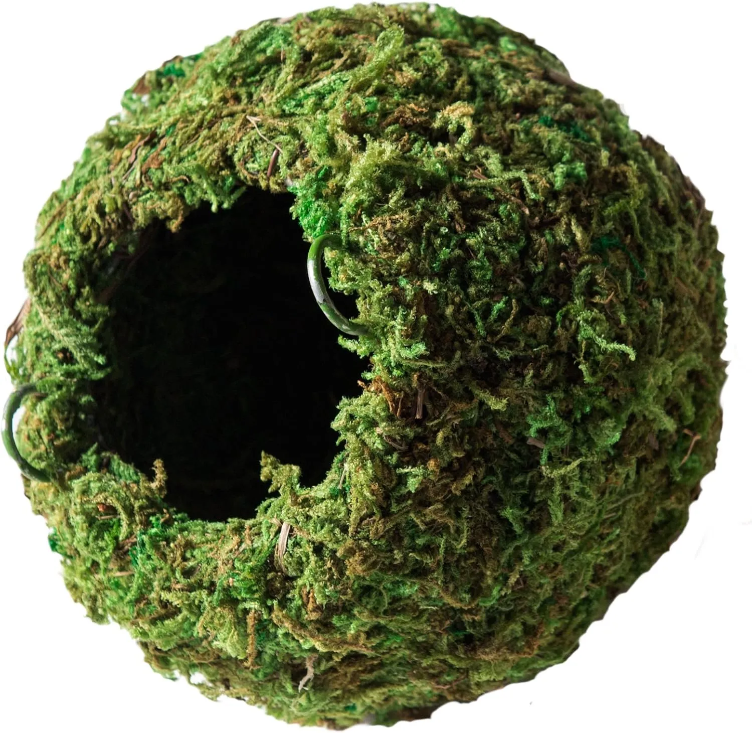 Galpagos (05348) Mossy Cave Hide, 6", Green Sphagnum