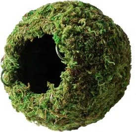 Galpagos (05348) Mossy Cave Hide, 6", Green Sphagnum