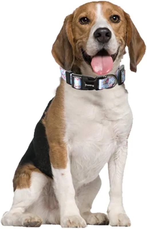 Ihoming Dog Collar and Leash Set for Daily Outdoor Walking Running Training, Floral Sky Design for Medium Boys Girls Dogs Cats Pets, M-Up to 45LBS
