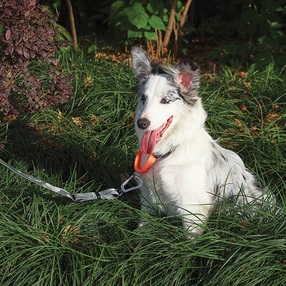 M-PETS Wild Jungle Leash Travel