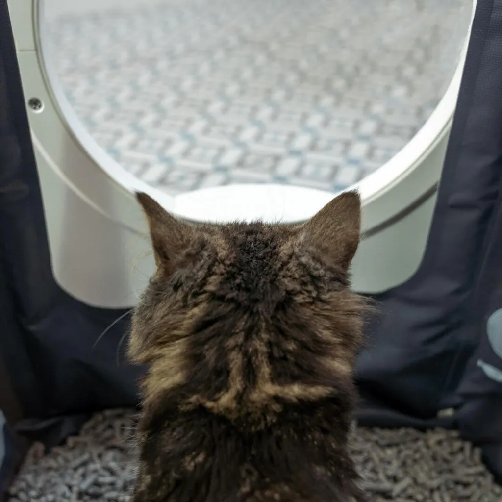 Maya Cat Litter Box | Litter Liner for Walk In