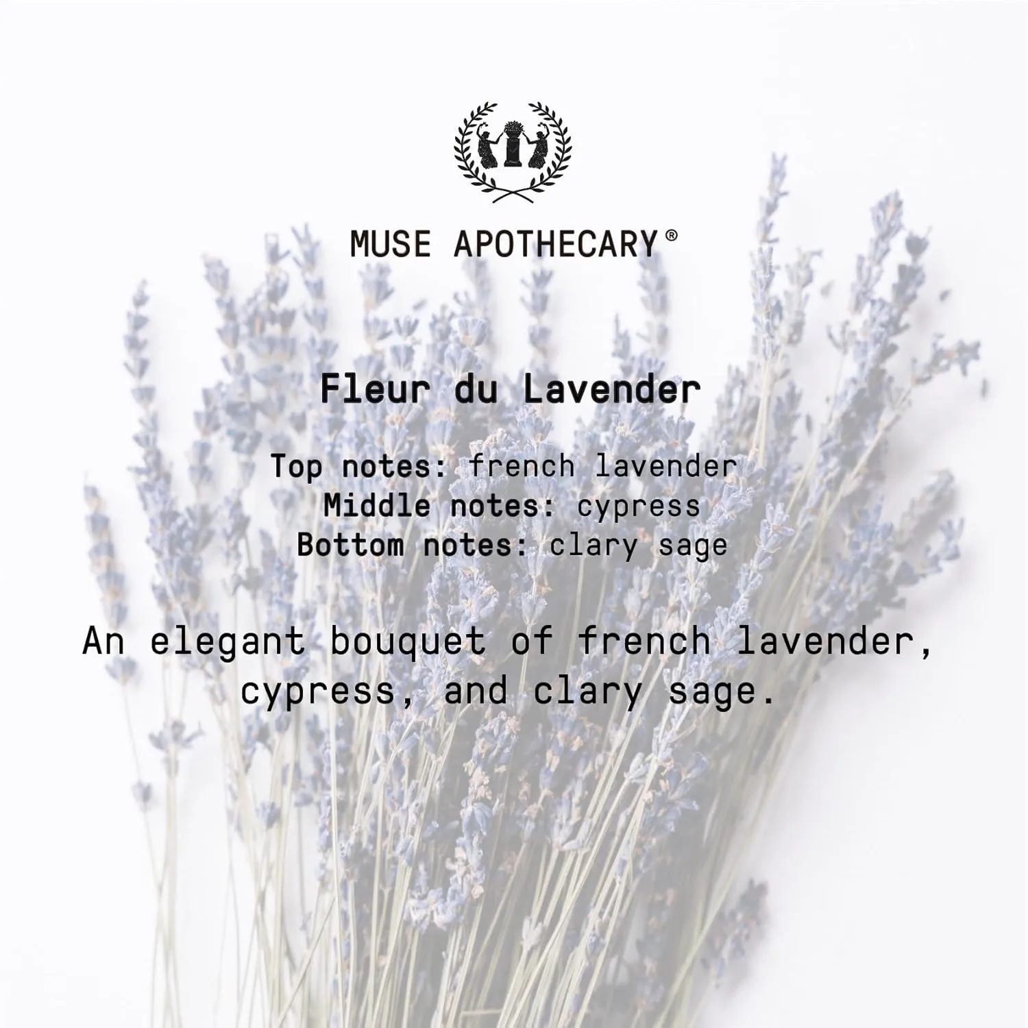 Muse Apothecary Pillow Ritual - Aromatic, Calming and Relaxing Pillow Mist, Linen and Fabric Spray - Infused with Natural Aromatherapy Essential Oils - 8 oz, Fleur du Lavender