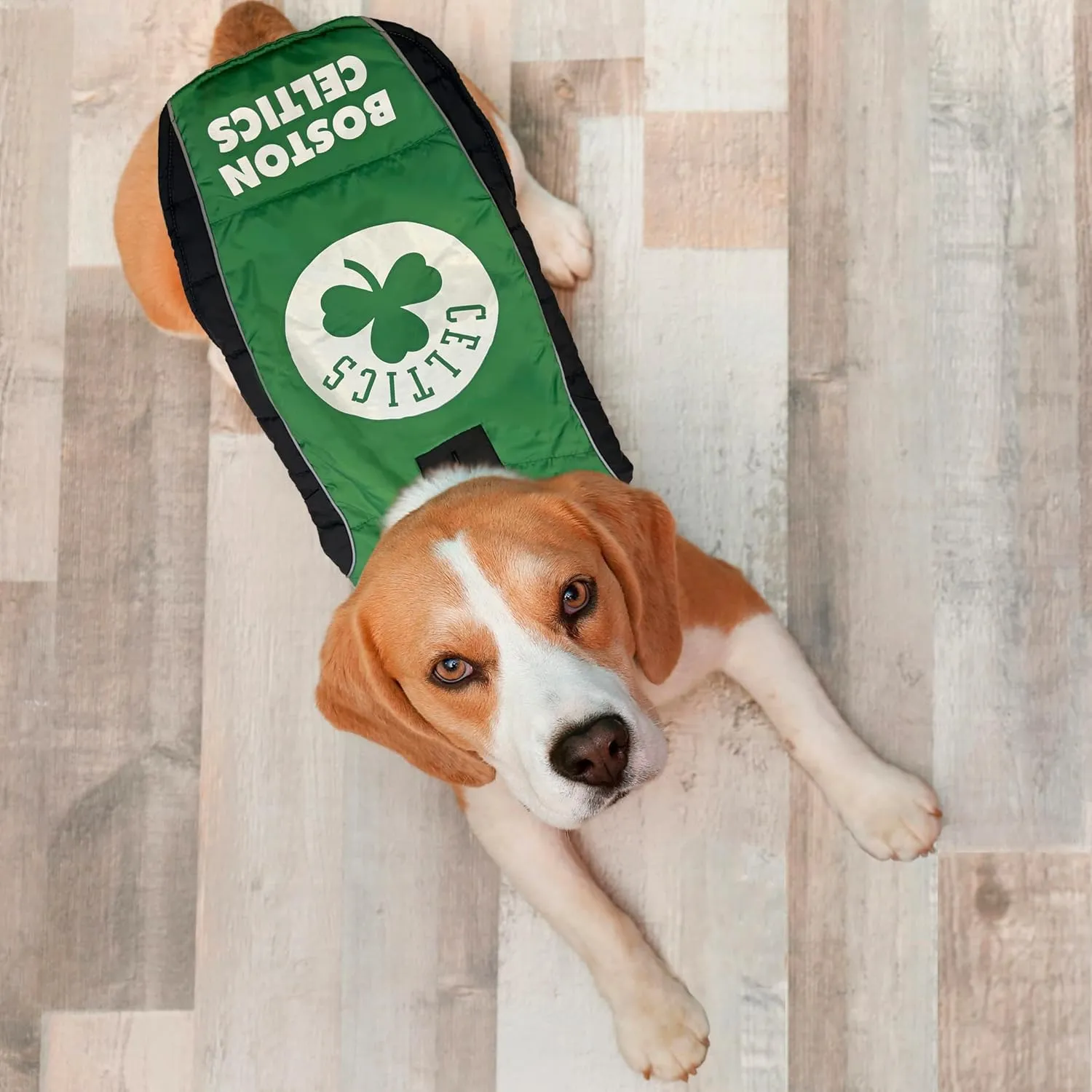 NBA Boston Celtics Puffer Vest for Dogs & Cats, Size Small. Warm, Cozy, and Waterproof Dog Coat, for Small and Large Dogs/Cats. Best NBA Licensed PET Warming Sports Jacket