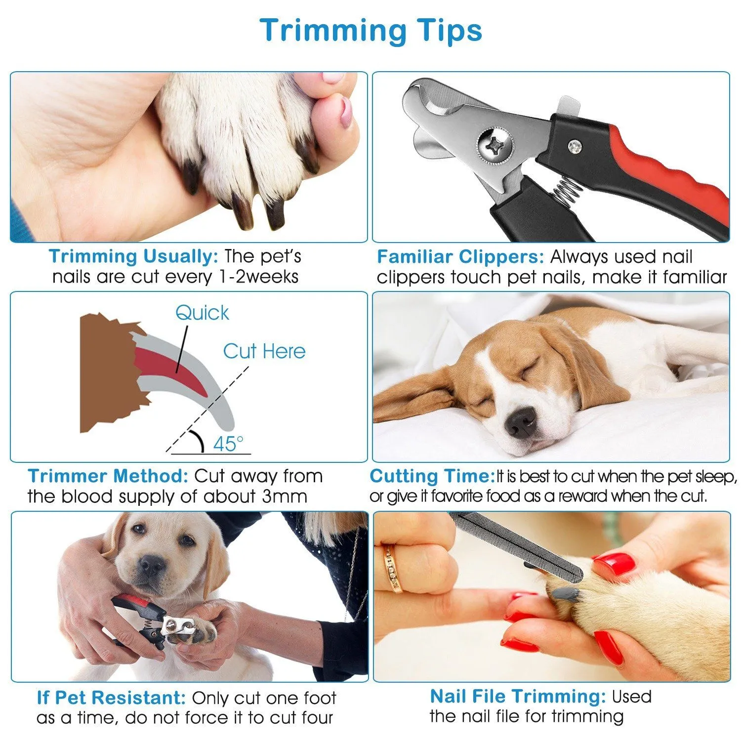 Pet Nail Trimmer  with Safety Guard to Avoid Over-Cutting Nails