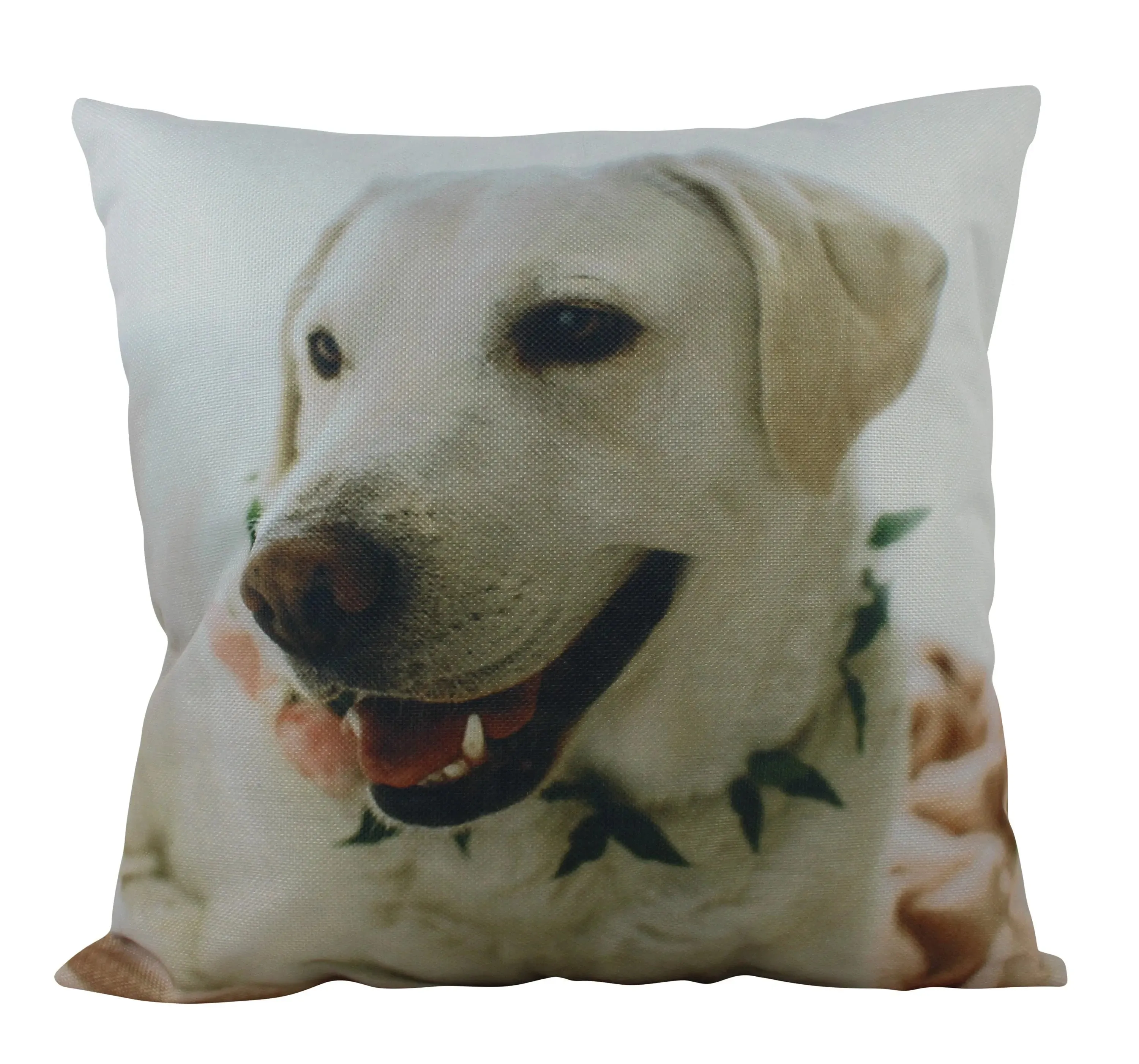 Pet Pillow | Custom Pillow | Throw Pillow | Pillows | Custom Dog Gifts | Custom Gift | Custom Cat Pillow | Custom | Home Decor | Embroidery