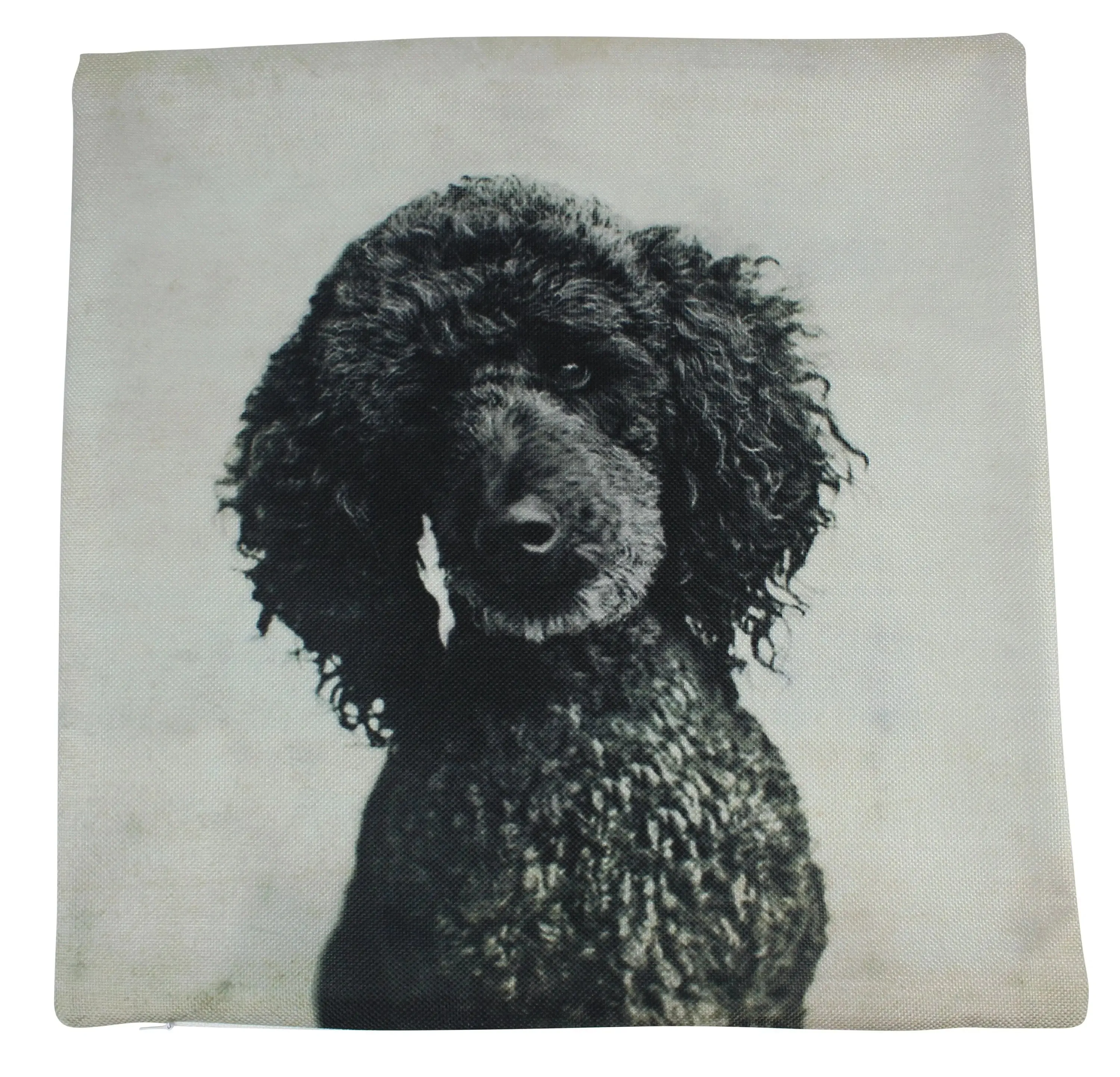 Pet Pillow | Custom Pillow | Throw Pillow | Pillows | Custom Dog Gifts | Custom Gift | Custom Cat Pillow | Custom | Home Decor | Embroidery