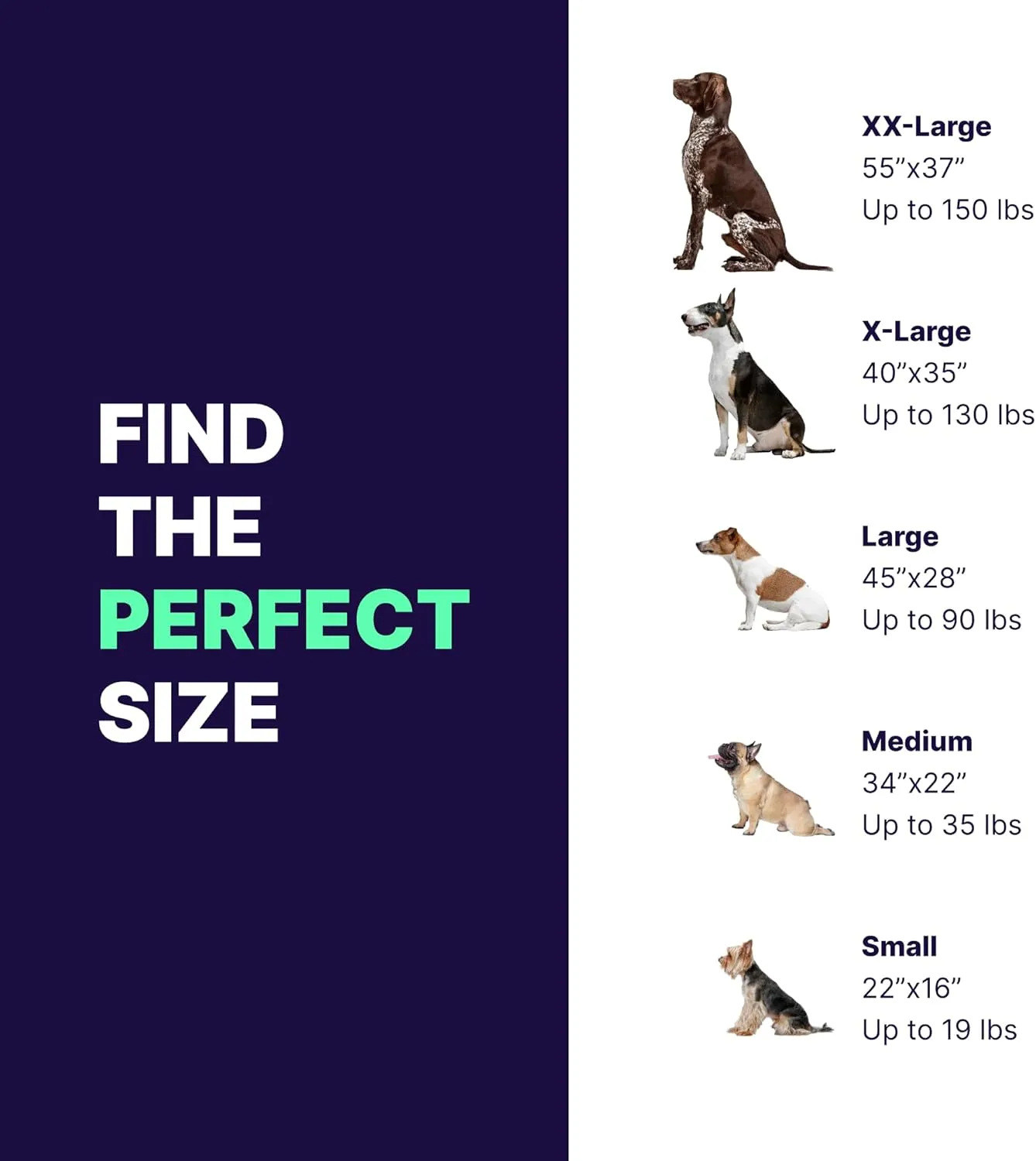 Pet Support Systems Orthopedic Dog Bed - Gel Memory Foam Pet Bed, Luxury Washable Dog Bed for Sleeping and Support (Removable Cover, Large Blue Dog Bed)