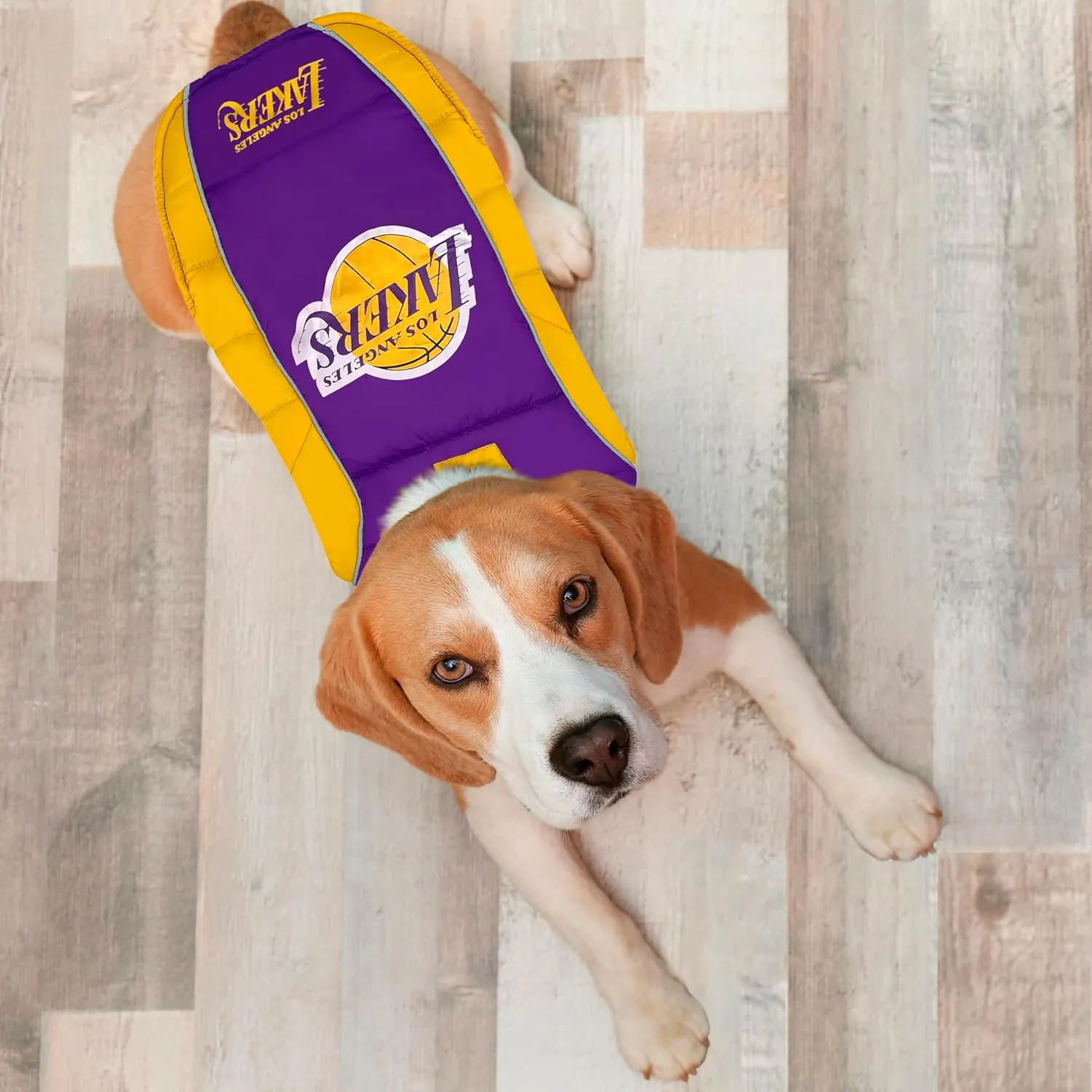 Pets First NBA Los Angeles Lakers Puffer Vest, Small, Waterproof, for Dogs & Cats