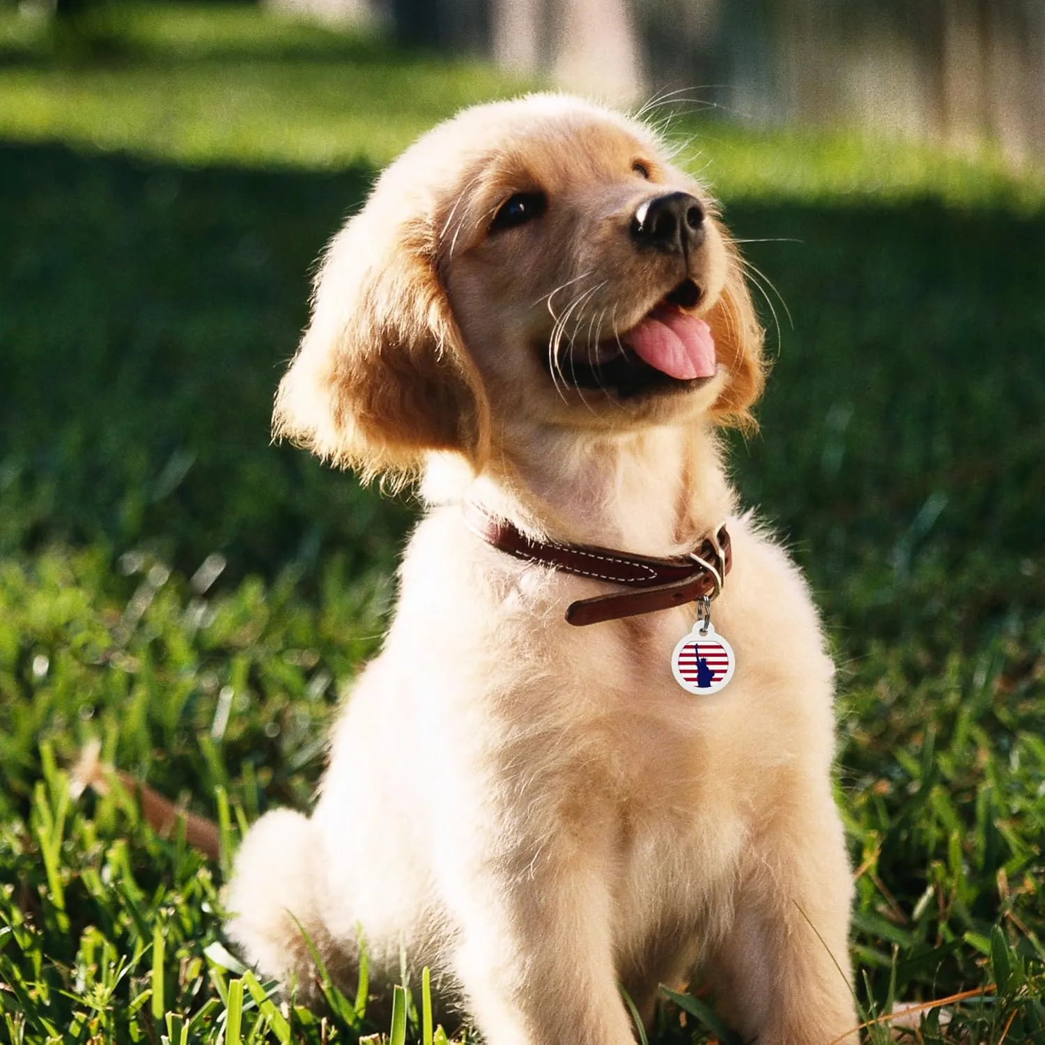 QR Code Dog Tag Silent Id Pet Tags Personalized Name Plate with Online Profile (Liberty, Bone)