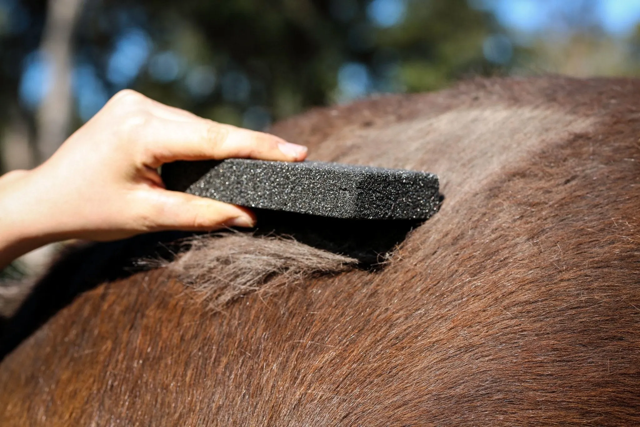 Slick 'N Easy Grooming Block
