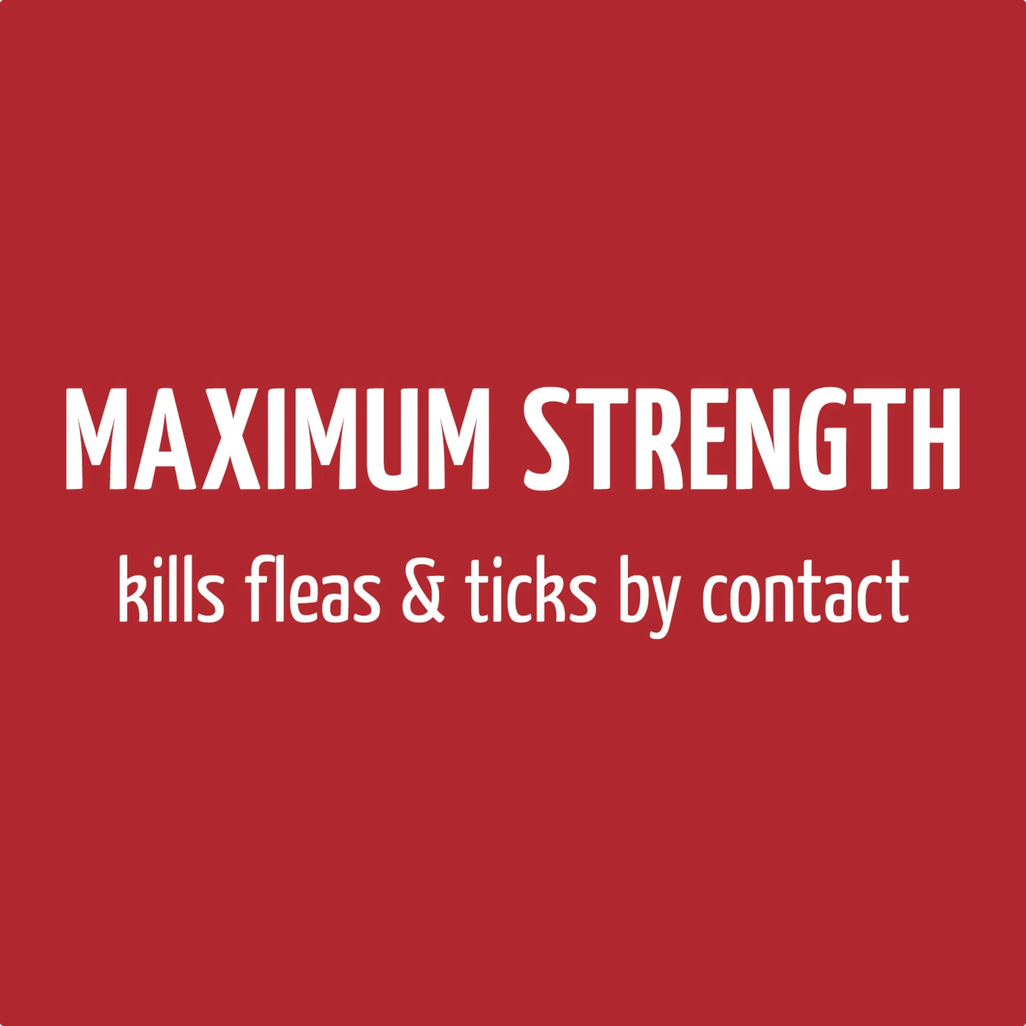 TropiClean Natural* Flea & Tick Maximum Strength Shampoo for Dogs, 20oz
