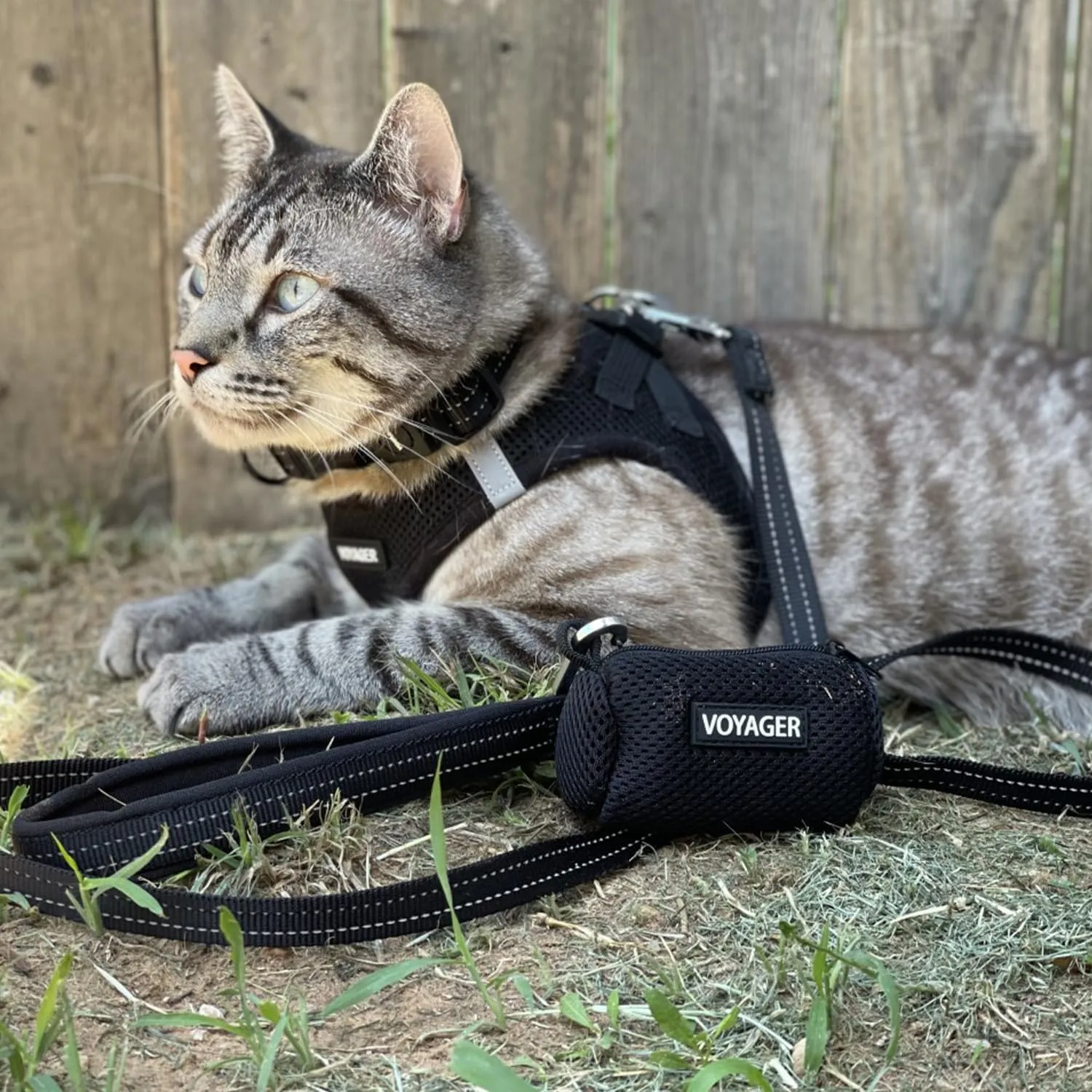 Voyager Step-in Air All Weather Mesh Harness and Reflective Dog 5 ft Leash Combo with Neoprene Handle, for Small, Medium and Large Breed Puppies by Best Pet Supplies - Set (Black), M