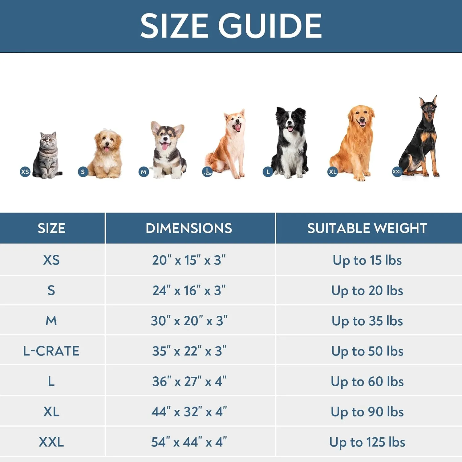 Waterproof Dog Bed Cover, Removable Dog Bed Covers Replacement Washable with Smooth Zipper, Indoor/Outdoor Dog Bed Washable Cover, Bone Print Pet Bed Cover for Dog/Cat, 22 x 35 x 3 Inch, Cover Only