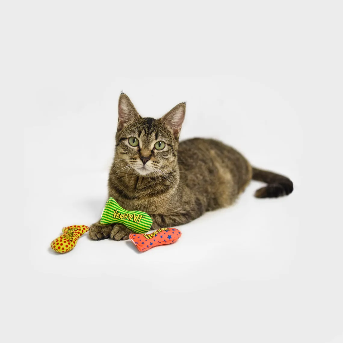 Yeowww! Stinkies Tin of Catnip Sardine Cat Toys