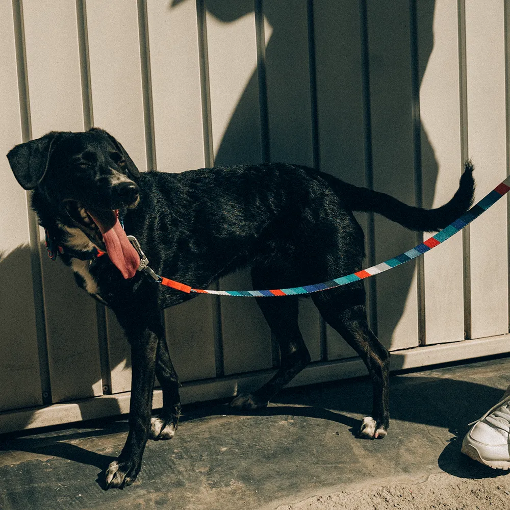 Zee.Dog Ella Leash